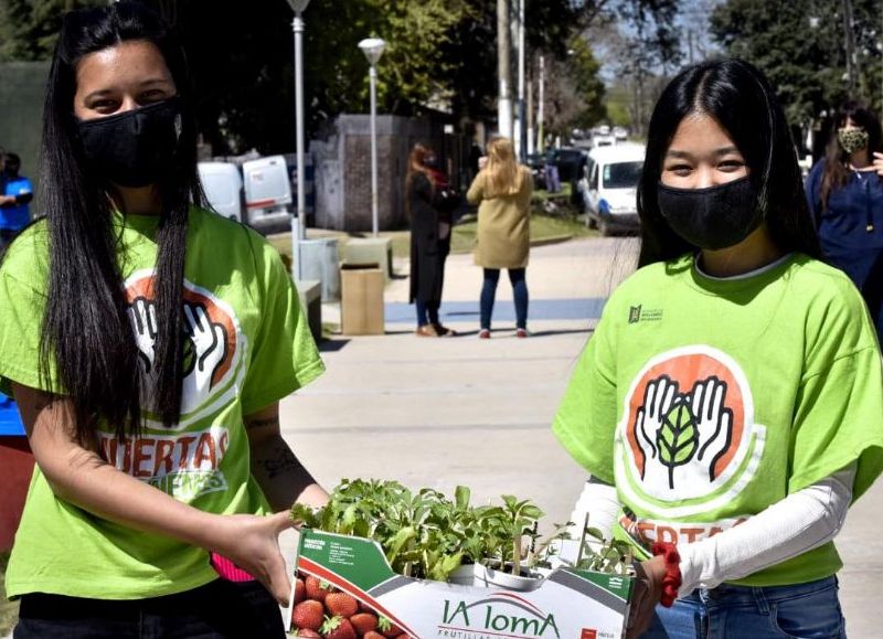 #HuertasMalvinenses: entregaron 10 mil plantines de vegetales en dos días
