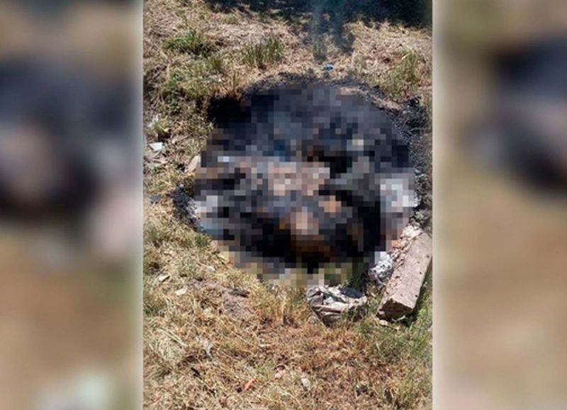 Macabro: vecinos de José C. Paz quemaron un sillón en un basural y encontraron un cadáver