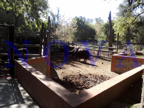 La Comisión de Medioambiente recibió el proyecto para transformar el Zoo en un Bioparque