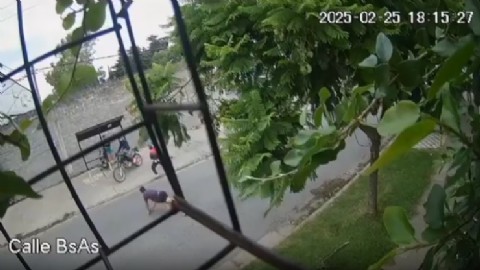 VIDEO | Tortuguitas: motochorros mataron a un joven delante de la novia y su bebé