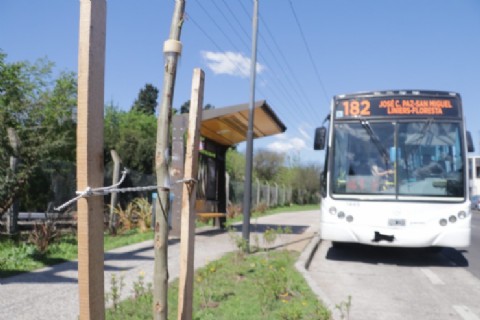 VIDEO | Plantan más de 1400 árboles nuevos en San Miguel