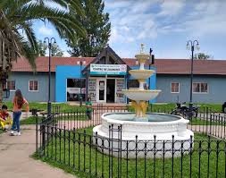 El Centro de atención veterinaria funciona exitosamente en José C. Paz