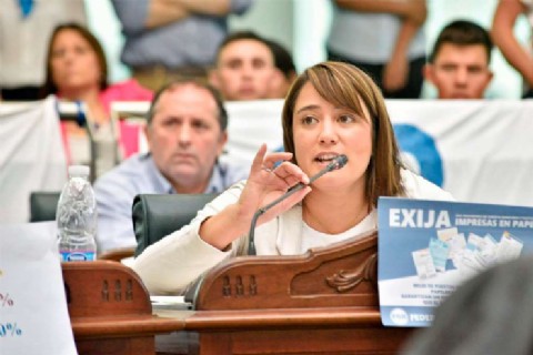 El Concejo Deliberante inició sesiones con un emotivo reconocimiento