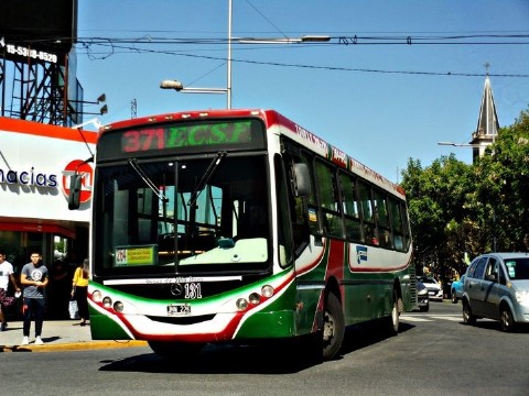 La atropelló un colectivo y murió después de agonizar varios días: reclaman que el chofer iba a alta velocidad